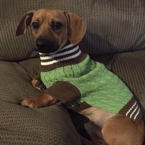 Meet your Posher, Larry